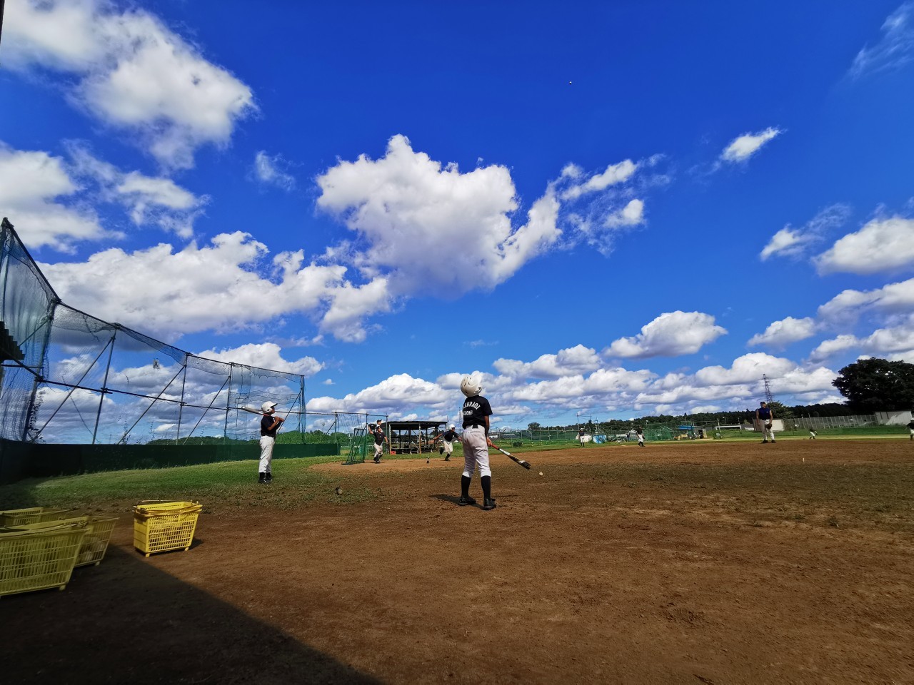 桜木ライオンズ ニュース 閲覧 青空いっぱい 野球を楽しむ子どもたち